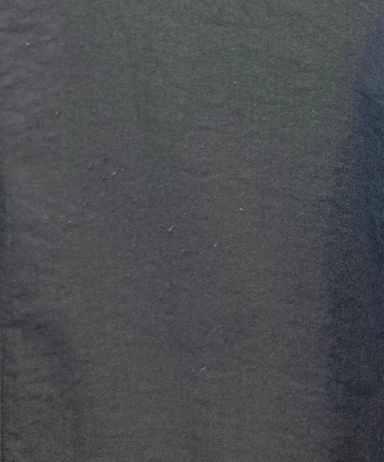 中古・古着通販】Dignite collier (ディニテ コリエ) Dignite collier