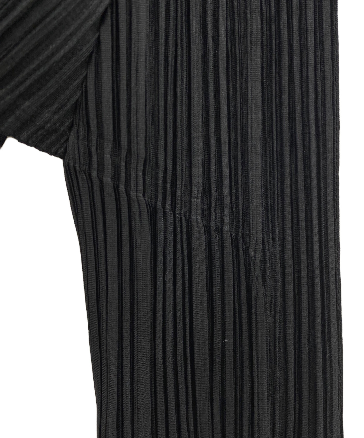中古・古着通販】PLEATS PLEASE (プリーツプリーズ) プリーツロング