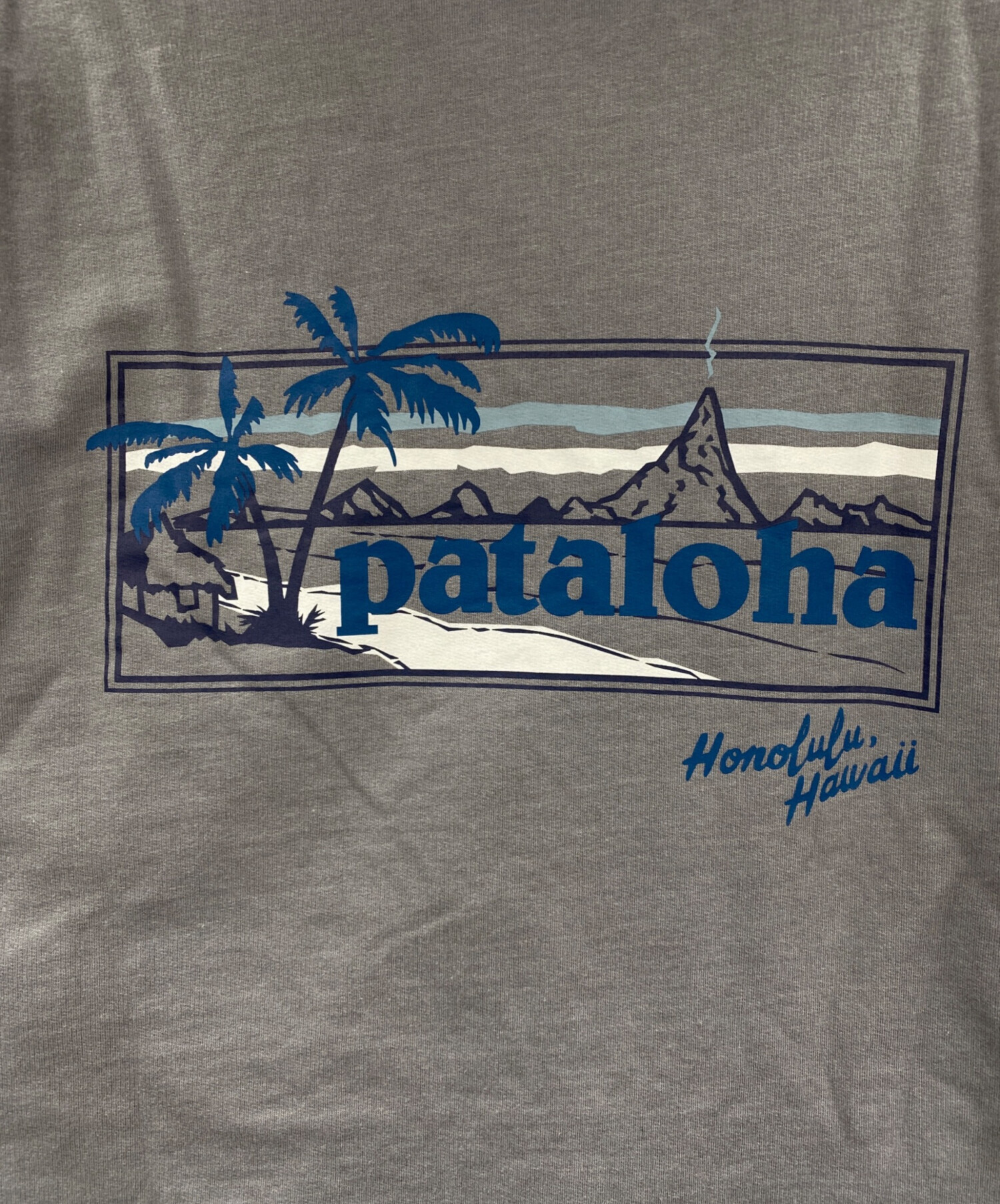 中古・古着通販】Patagonia (パタゴニア) ジップパーカー グレー