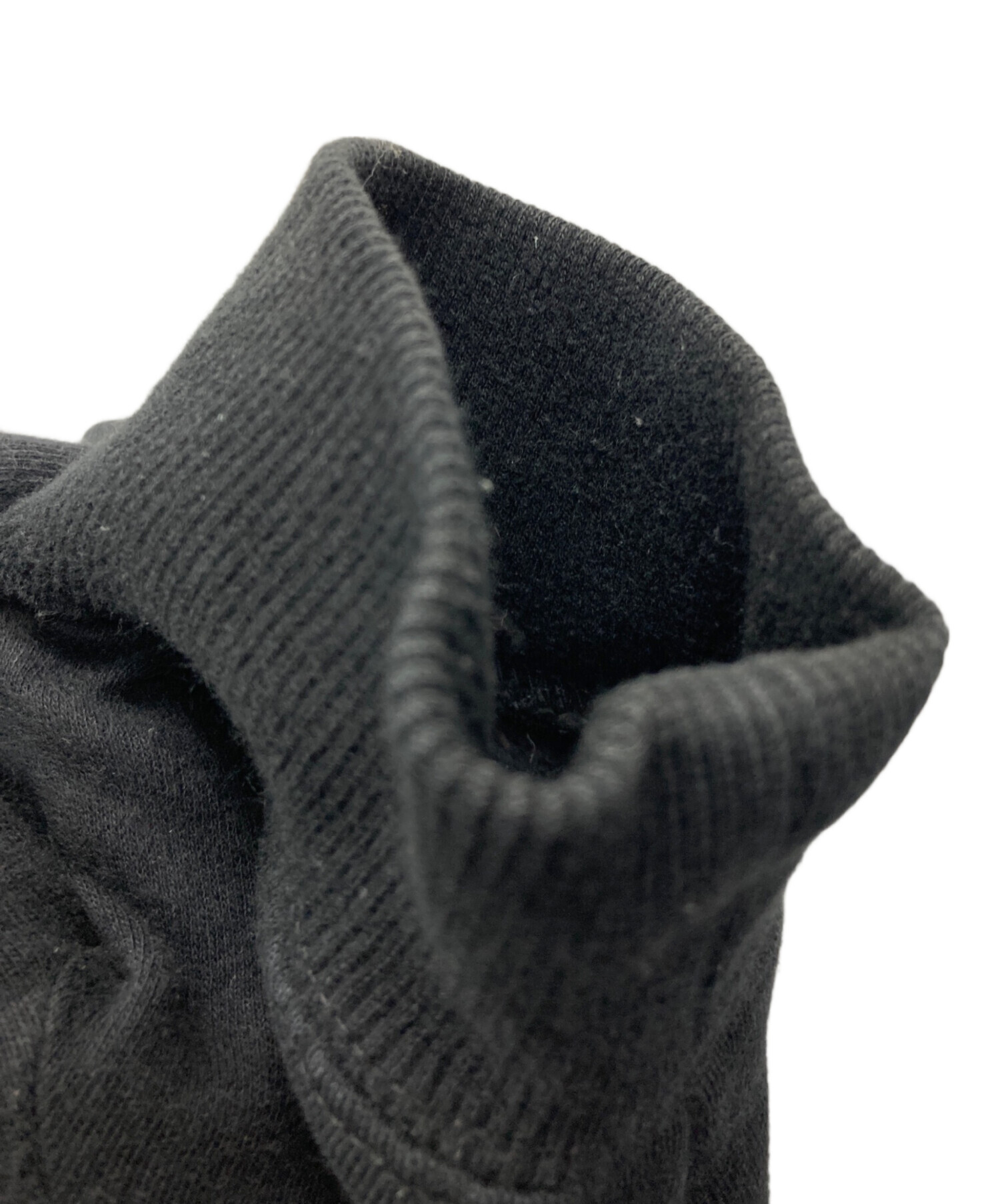 中古・古着通販】stussy (ステューシー) プルオーバーパーカー