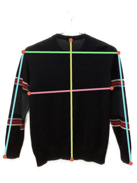 中古・古着通販】Saint Laurent Paris (サンローランパリ) 恐竜