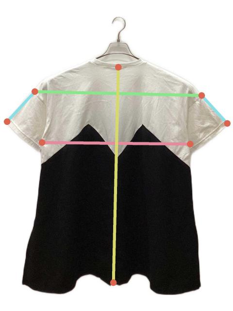 中古・古着通販】ENFOLD (エンフォルド) LAYERED-LIKE T-SHIRT