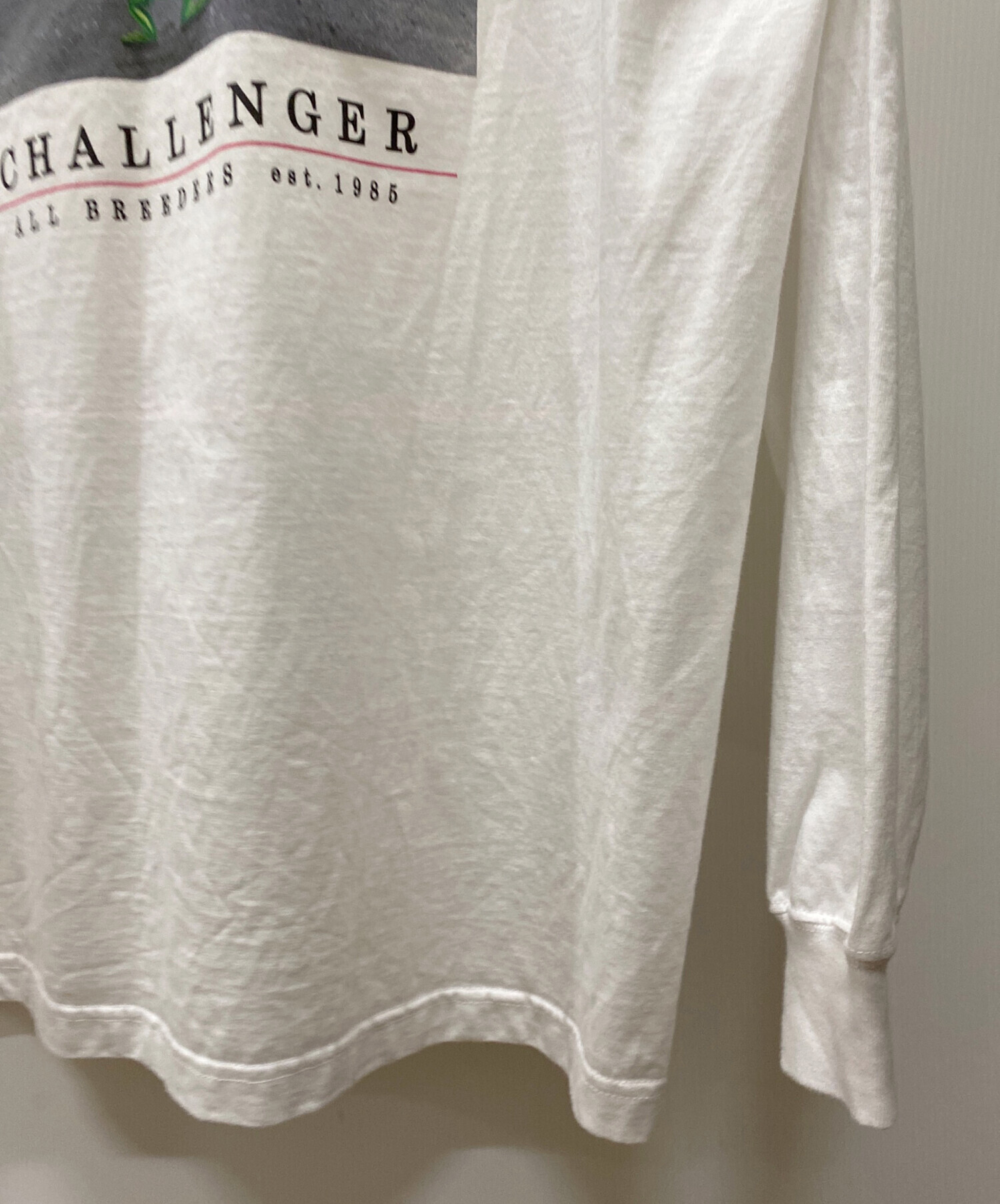 中古・古着通販】CHALLENGER (チャレンジャー) ロングスリーブ