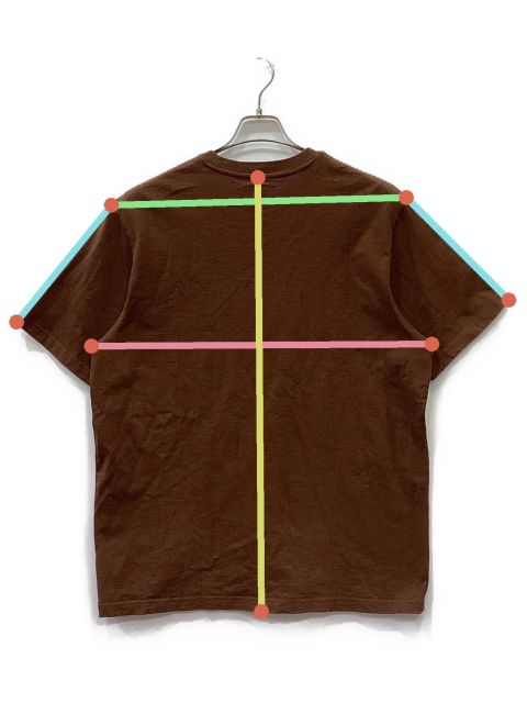 THE NORTH FACE Supreme ロンT ブラウン 未使用 THE NORTH FACE Supreme ロンT ブラウン 未使用 THE NORTH FACE