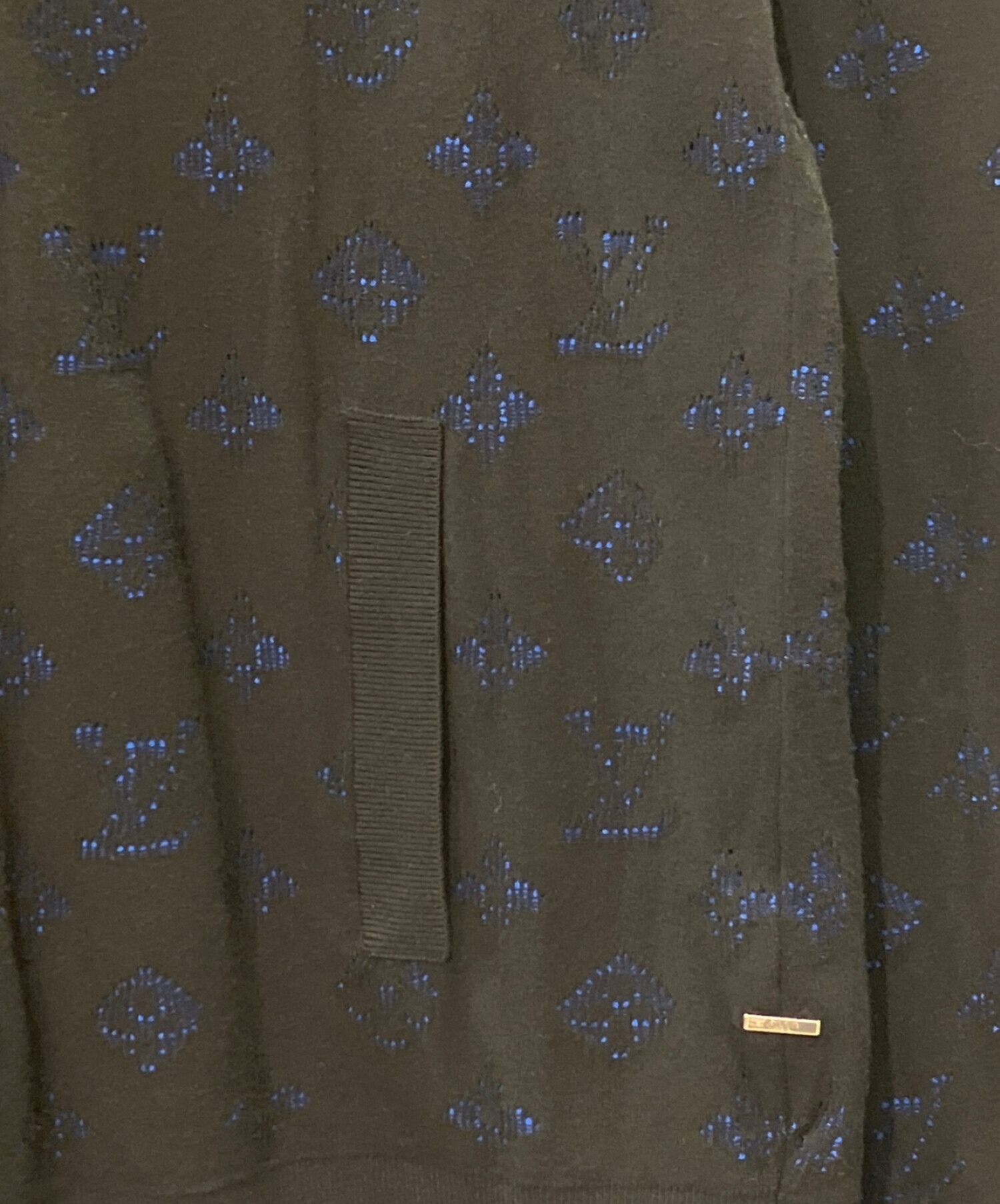 中古・古着通販】LOUIS VUITTON (ルイ ヴィトン) ドロップニードル 