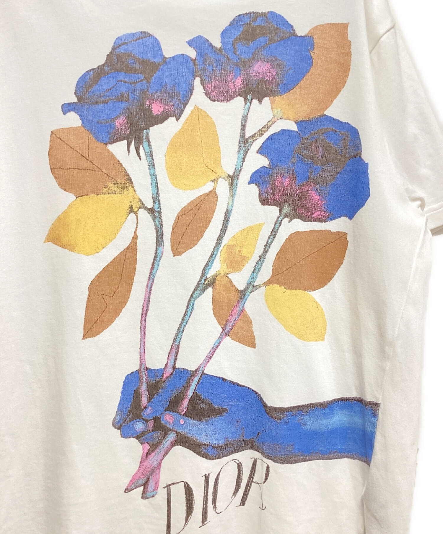 正規 20SS DIOR ディオール アレックスフォクストン 薔薇 Tシャツ 中古・古着通販】Dior (ディオール) ALEX FOXTON (アレックス