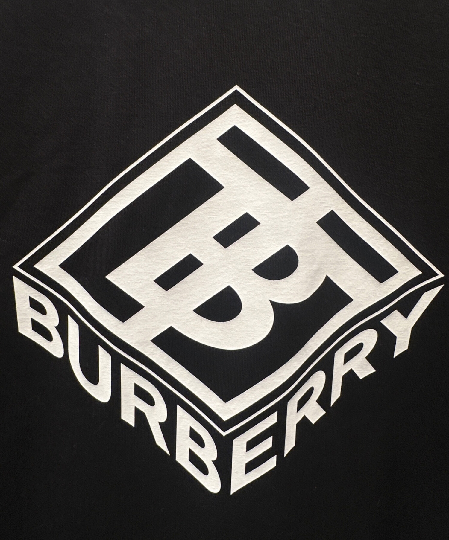 中古・古着通販】BURBERRY (バーバリー) TBロゴTシャツ ブラック 