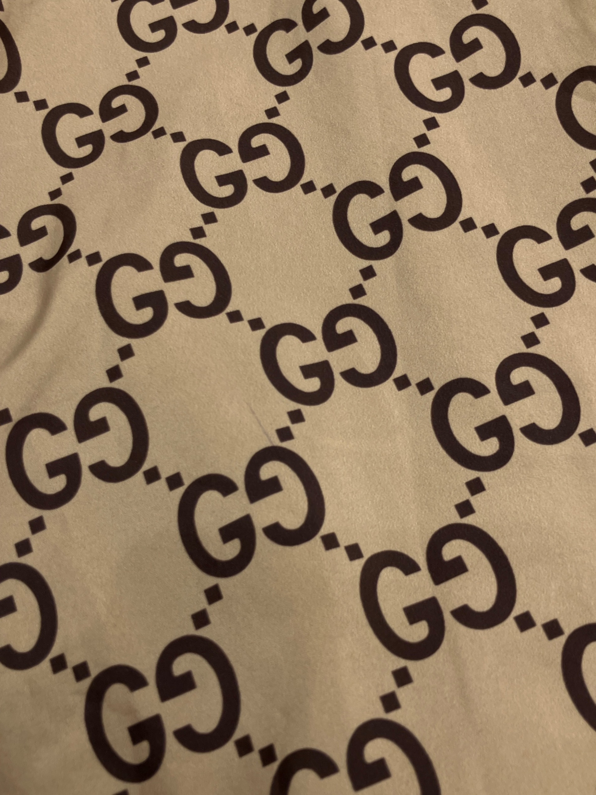 中古・古着通販】GUCCI (グッチ) ライトナイロン GGフードジャケット
