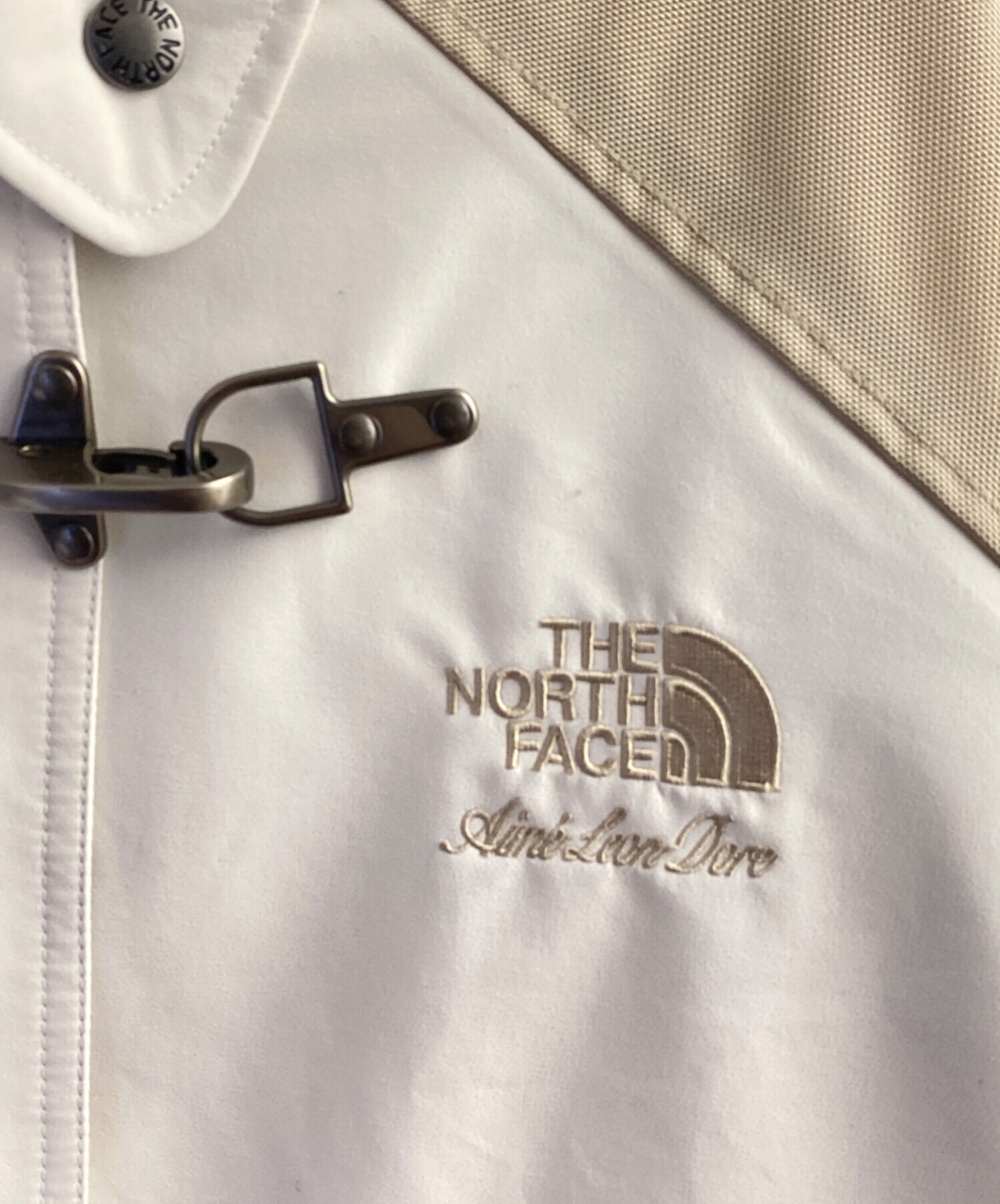 中古・古着通販】THE NORTH FACE (ザ ノース フェイス) Aime Leon Dore 