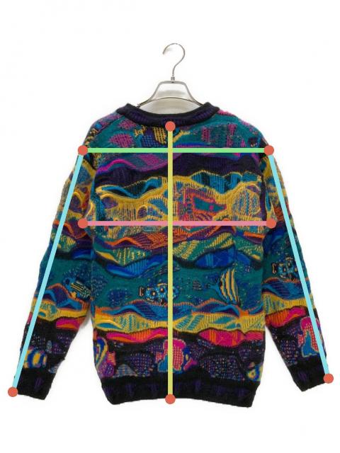 中古・古着通販】Coogi (クージー) 3Dニット 90S マルチカラー サイズ