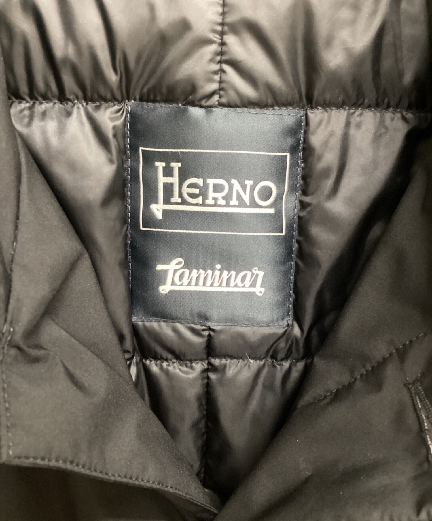 【試着のみ】HERNO ステンカラー ダウンコート ヘルノ ブラック 42 HERNO（ヘルノ） ダウンジャケット ダウン ステンカラーコート メンズ