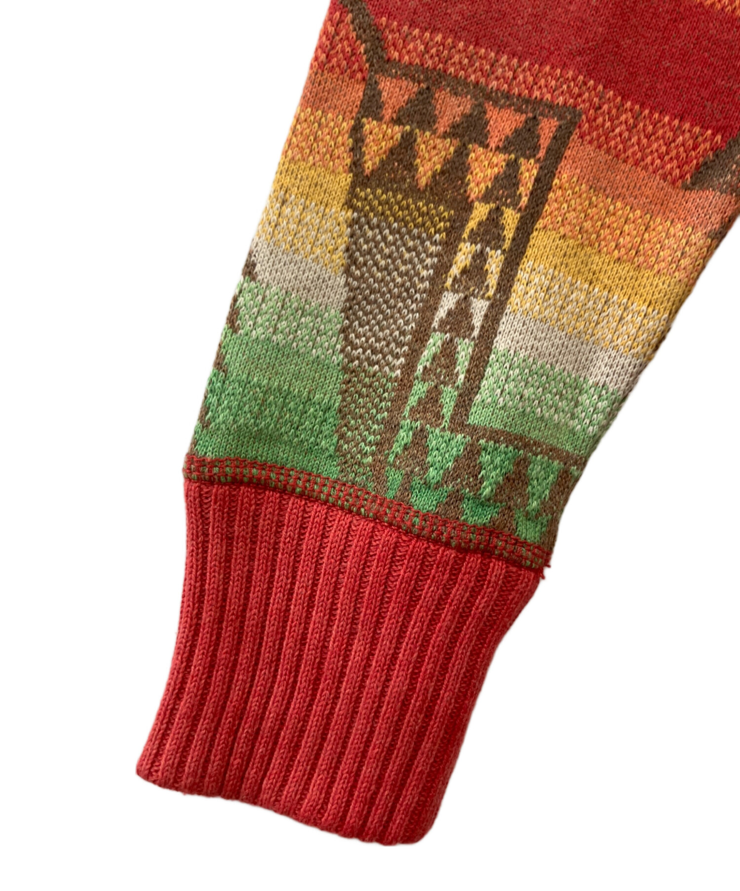 中古・古着通販】POLO RALPH LAUREN (ポロ・ラルフローレン) 厚手