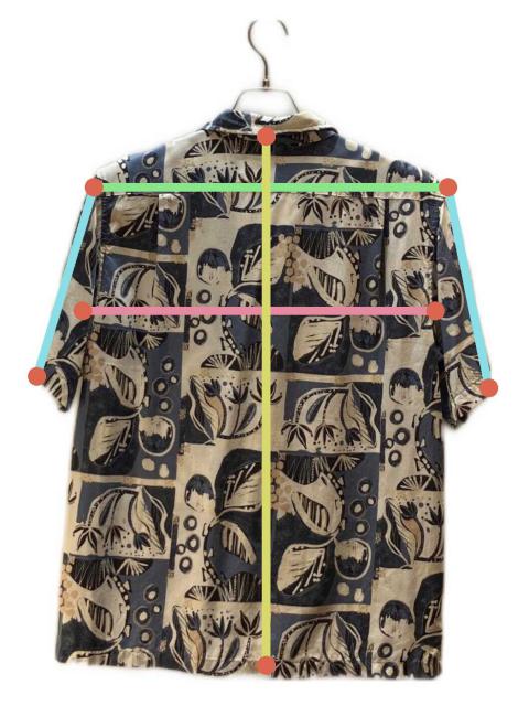 中古・古着通販】Patagonia (パタゴニア) La'au Pataloha Shirt ブルー