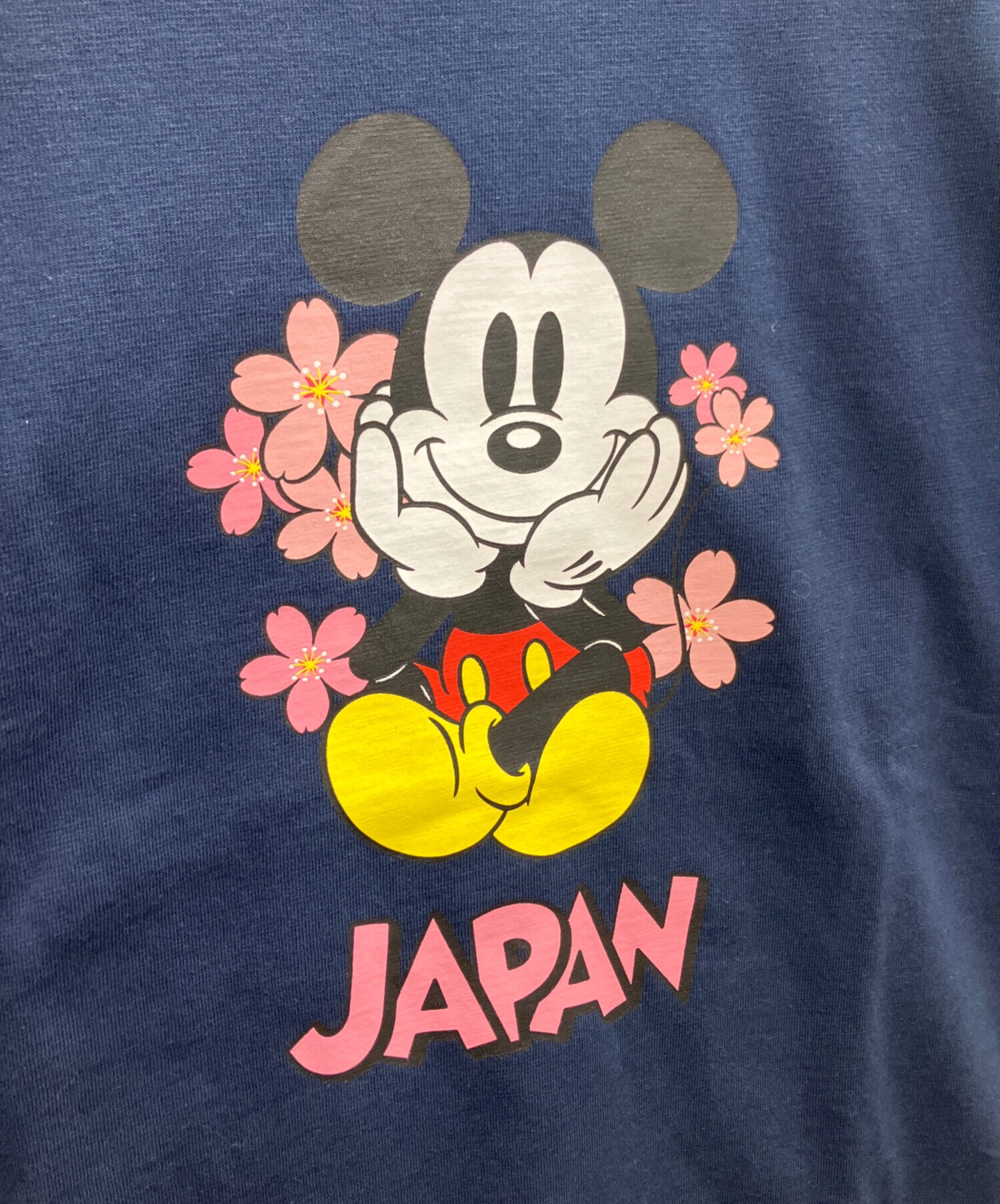 中古・古着通販】Champion (チャンピオン) BEAMS BOY (ビームスボーイ 