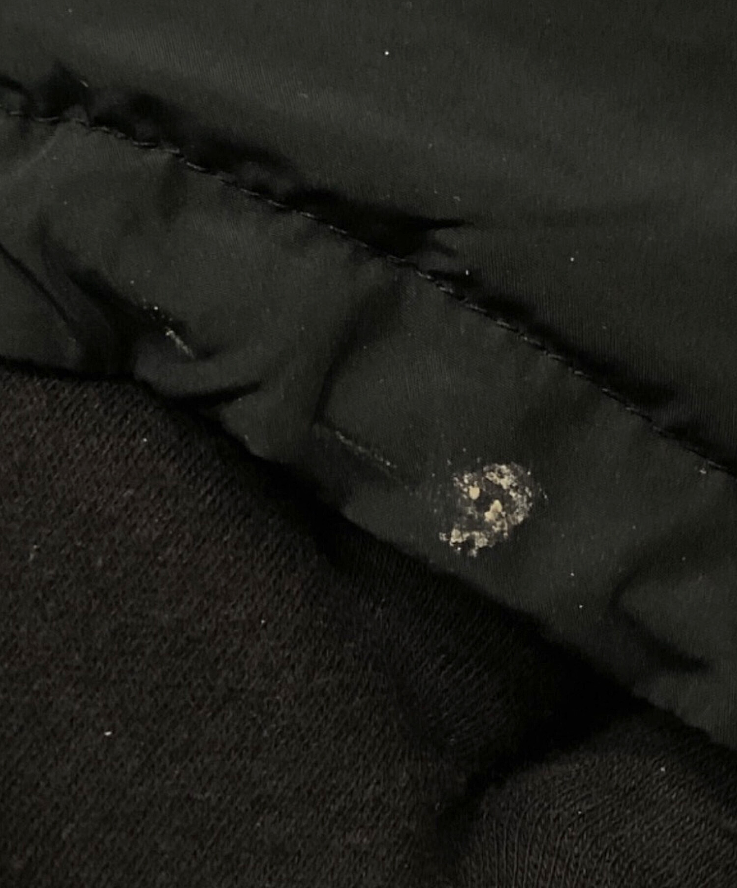 中古・古着通販】Snidel (スナイデル) 西川 (ニシカワ) ダウン 
