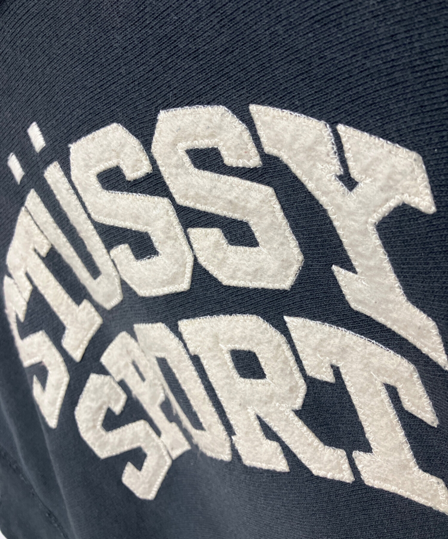 中古・古着通販】stussy (ステューシー) Champion (チャンピオン