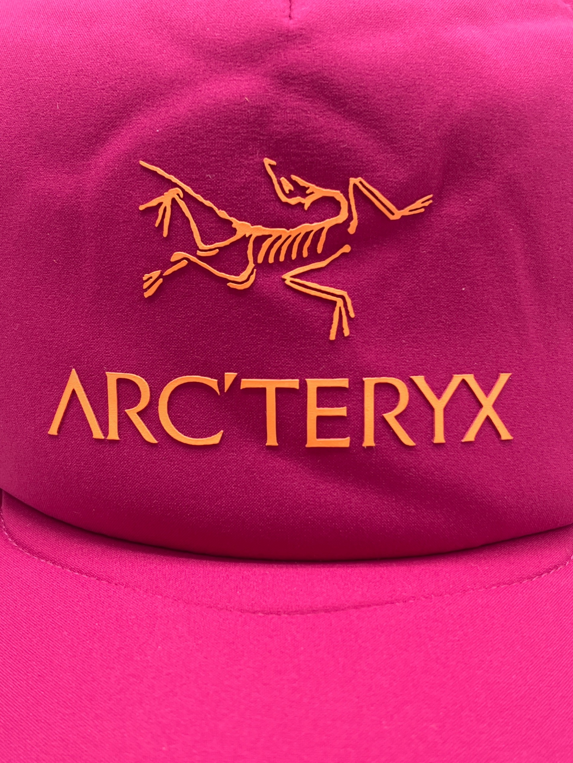 中古・古着通販】ARC'TERYX (アークテリクス) キャップ 未使用品