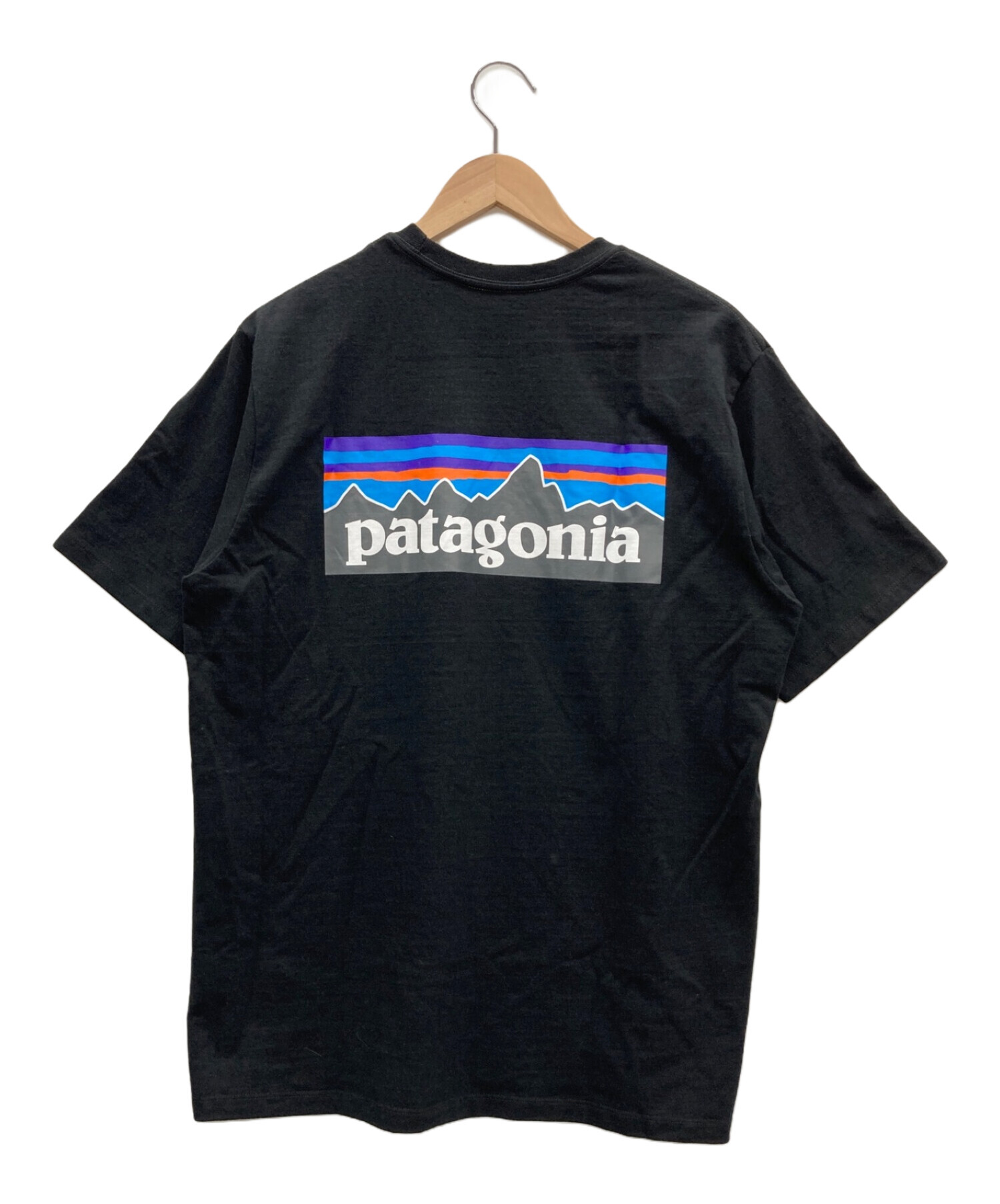 中古・古着通販】Patagonia (パタゴニア) バックプリントTシャツ 