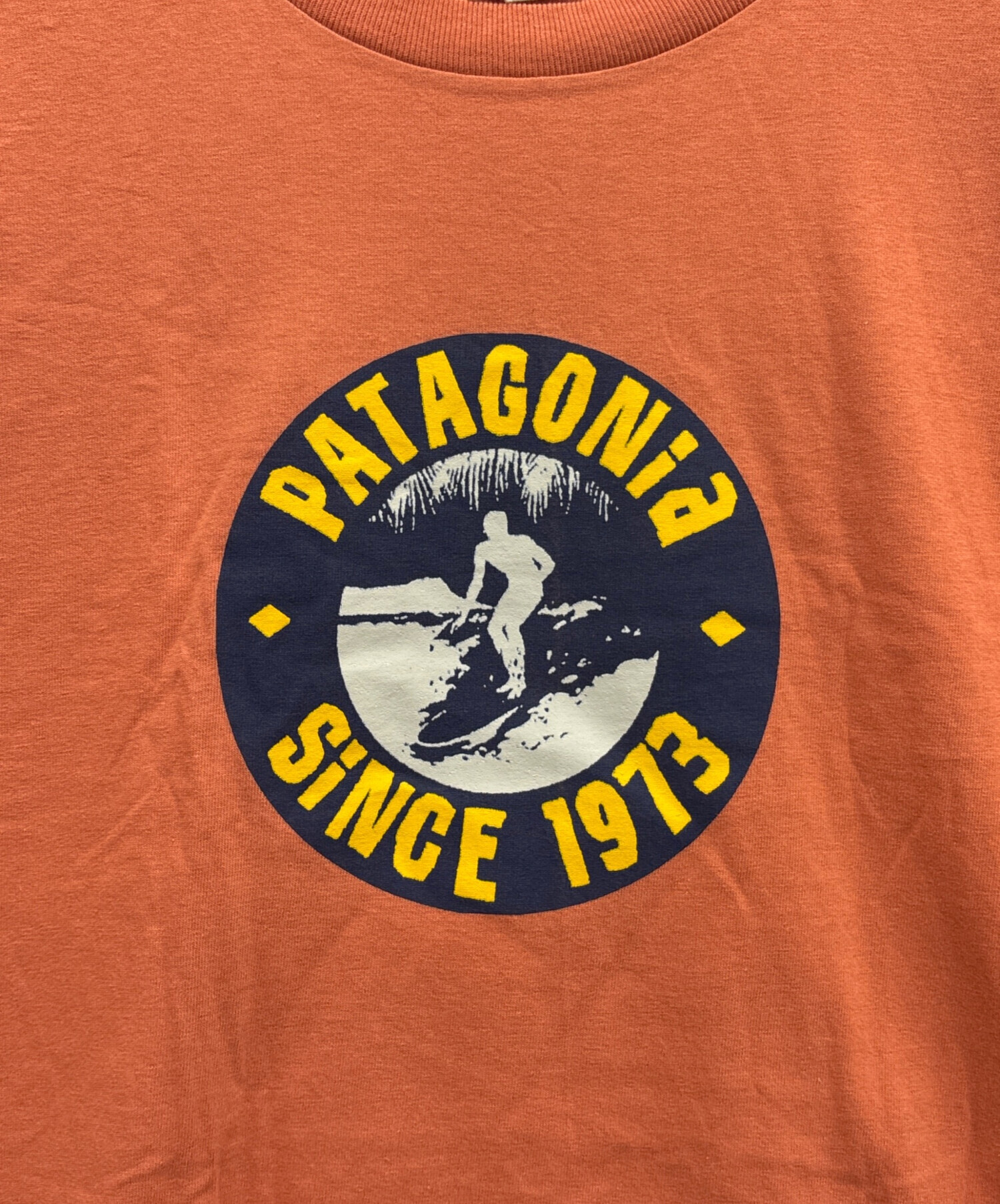 中古・古着通販】Patagonia (パタゴニア) Beneficial T's オレンジ