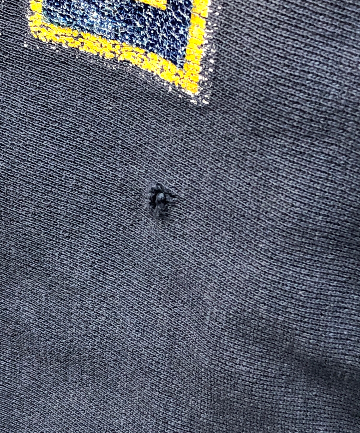 中古・古着通販】Champion (チャンピオン) スウェット REVERSE WEAVE 