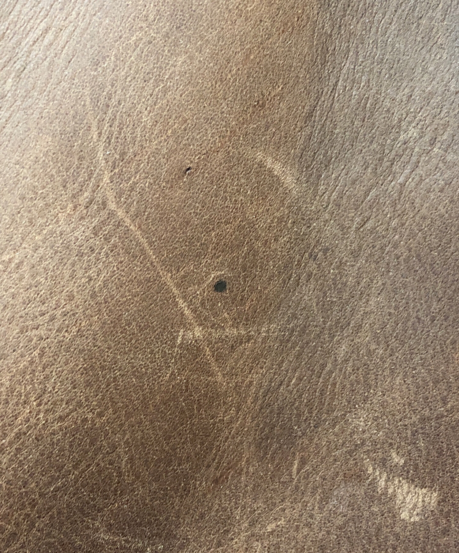 中古・古着通販】sam walker (サム ウォーカー) オイルドレザー