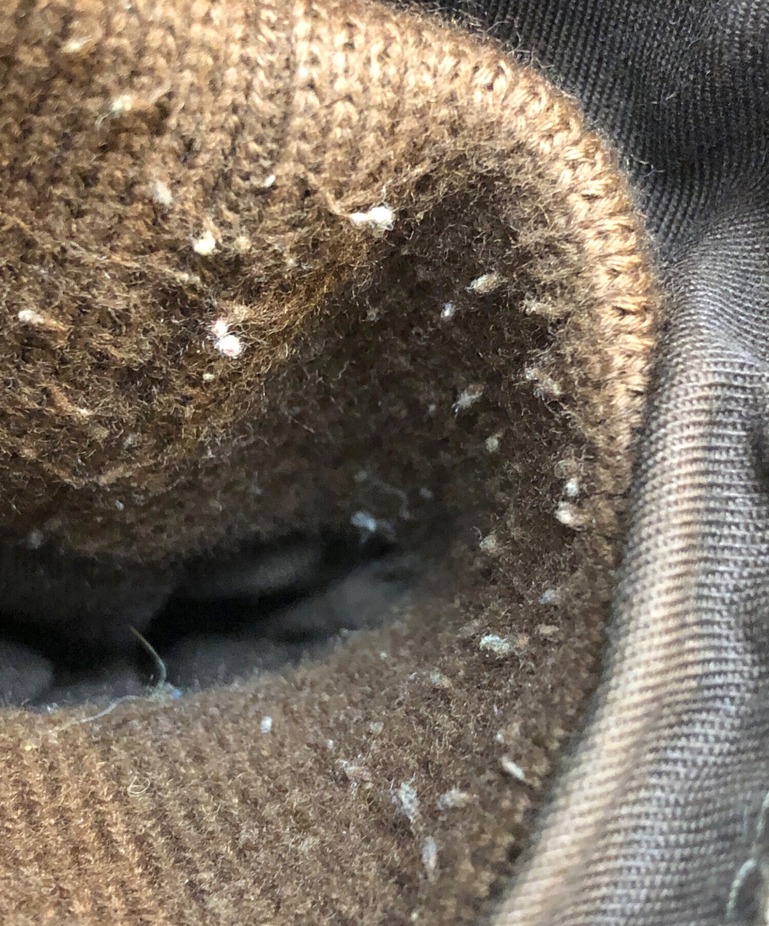 中古・古着通販】sam walker (サム ウォーカー) オイルドレザー