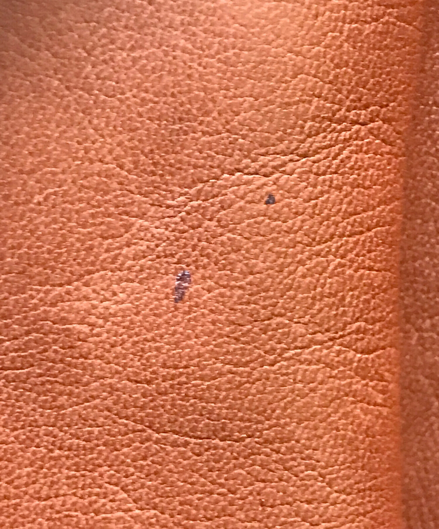 中古・古着通販】HERMES (エルメス) シルク×ラムレザーベスト オレンジ 