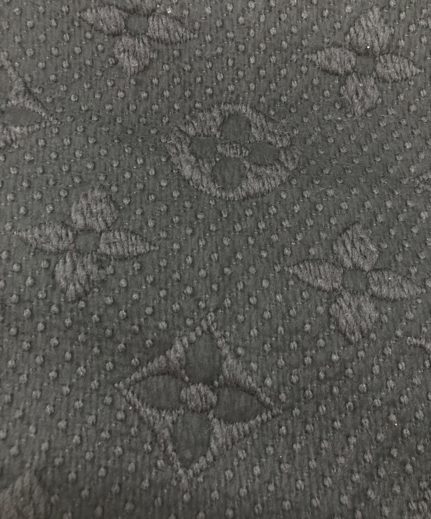 中古・古着通販】LOUIS VUITTON (ルイ ヴィトン) エシャルプ・ロゴ