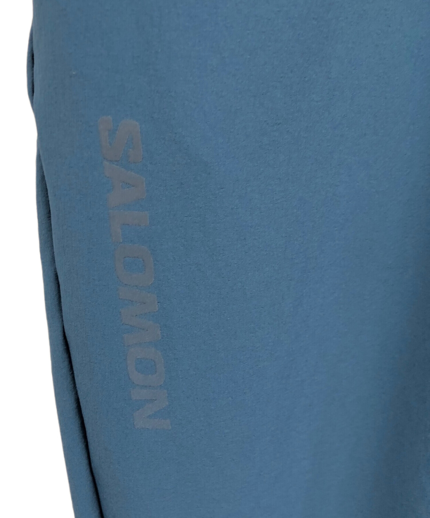 中古・古着通販】SALOMON (サロモン) ナイロンパンツ ブルー サイズ:L