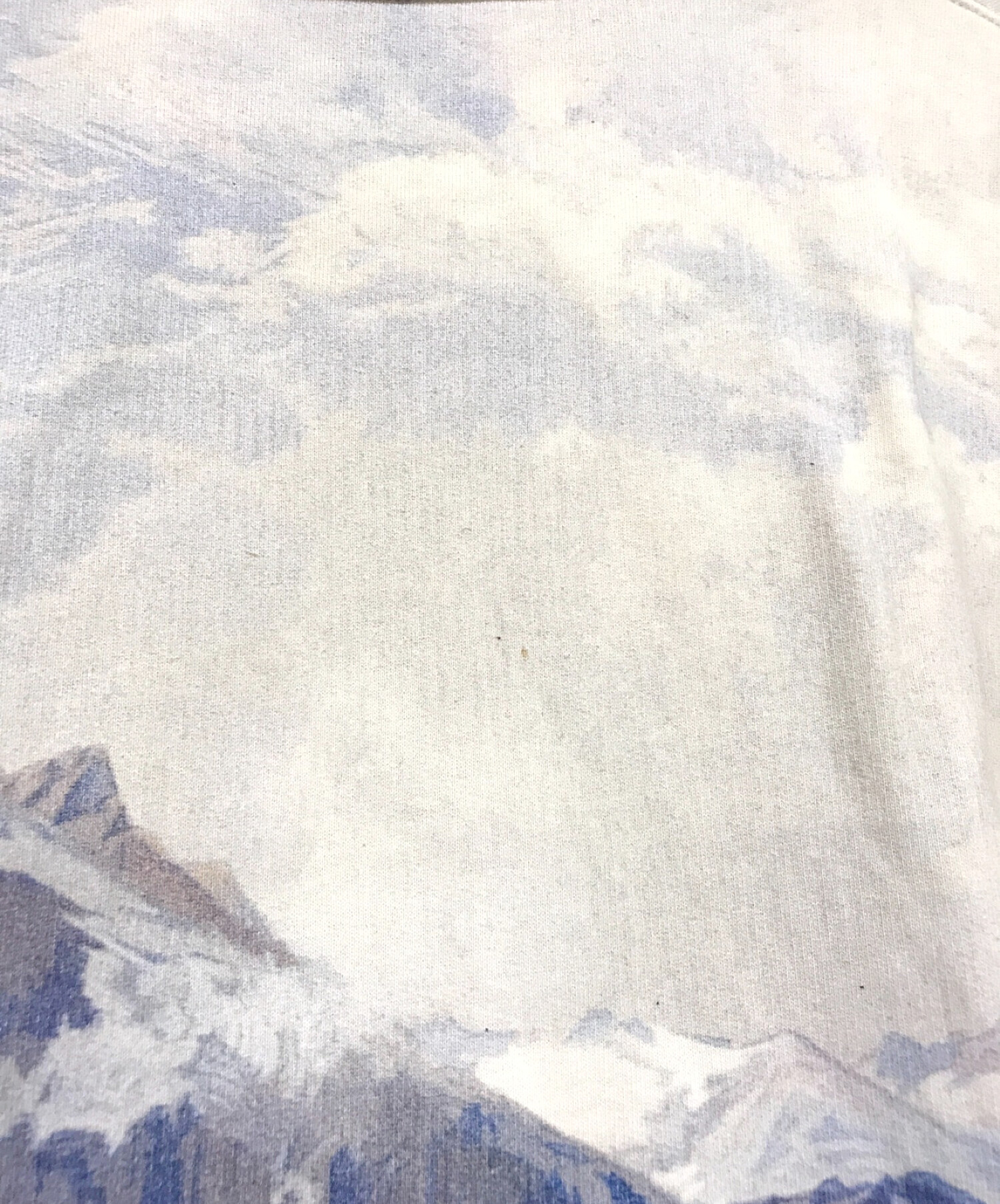 中古・古着通販】KITH (キス) Peak Nelson Crewneck Chalk マルチ 