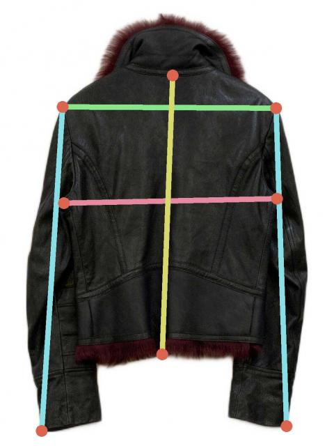 中古・古着通販】EMPORIO ARMANI (エンポリオアルマーニ) ファーレザー