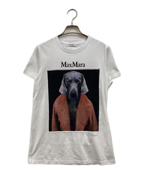 中古・古着通販】MaxMara (マックスマーラ) ドッグプリントTシャツ