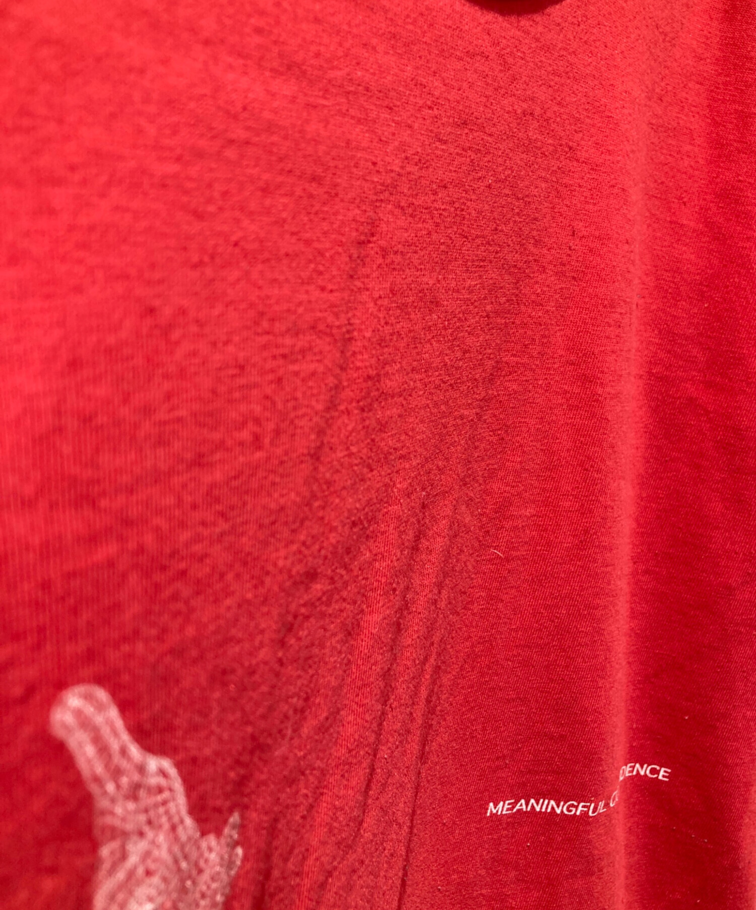 中古・古着通販】gadid anoniem (ガディッド アノニム) ZEKE Tシャツ