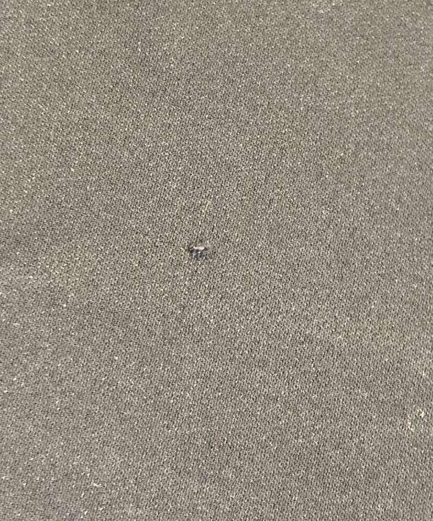 中古・古着通販】STELLA McCARTNEY (ステラマッカートニー) ブラウス