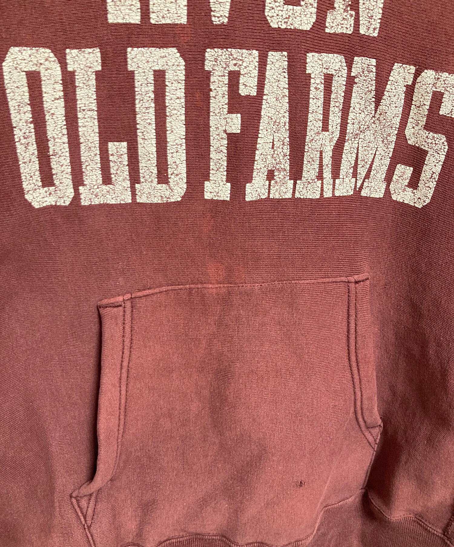 中古・古着通販】Champion (チャンピオン) リバースウィーブパーカー 