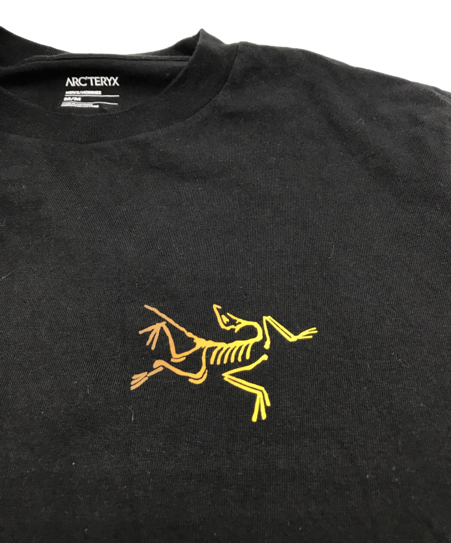 中古・古着通販】ARC'TERYX (アークテリクス) KRAGG COTTON LOGO SS