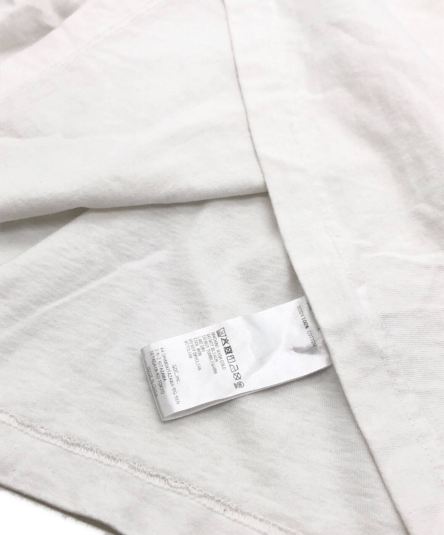 中古・古着通販】GDC (ジーディーシー) KINSKIプリントTシャツ