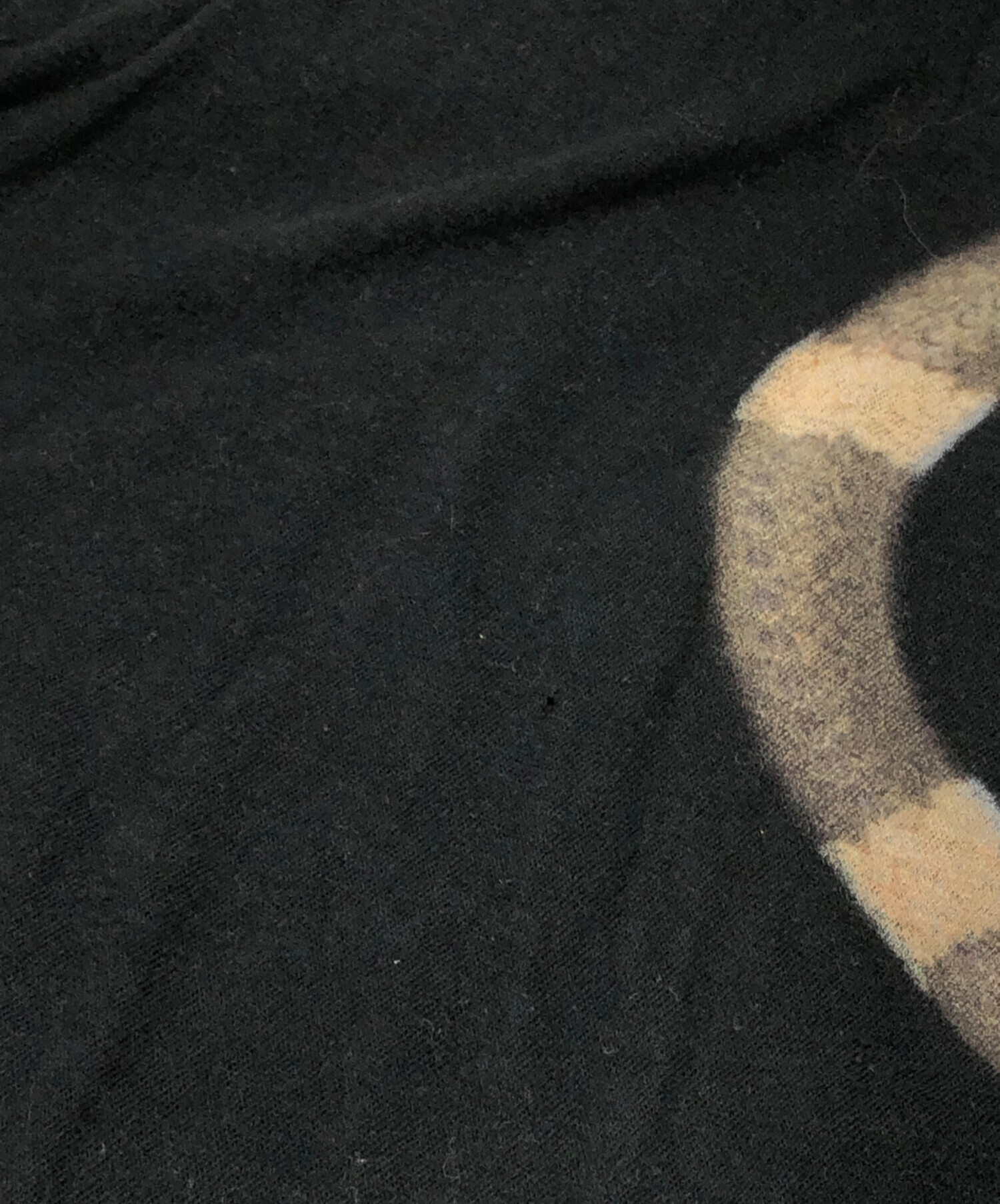 中古・古着通販】IF SIX WAS NINE (イフシックスワズナイン) snake t 