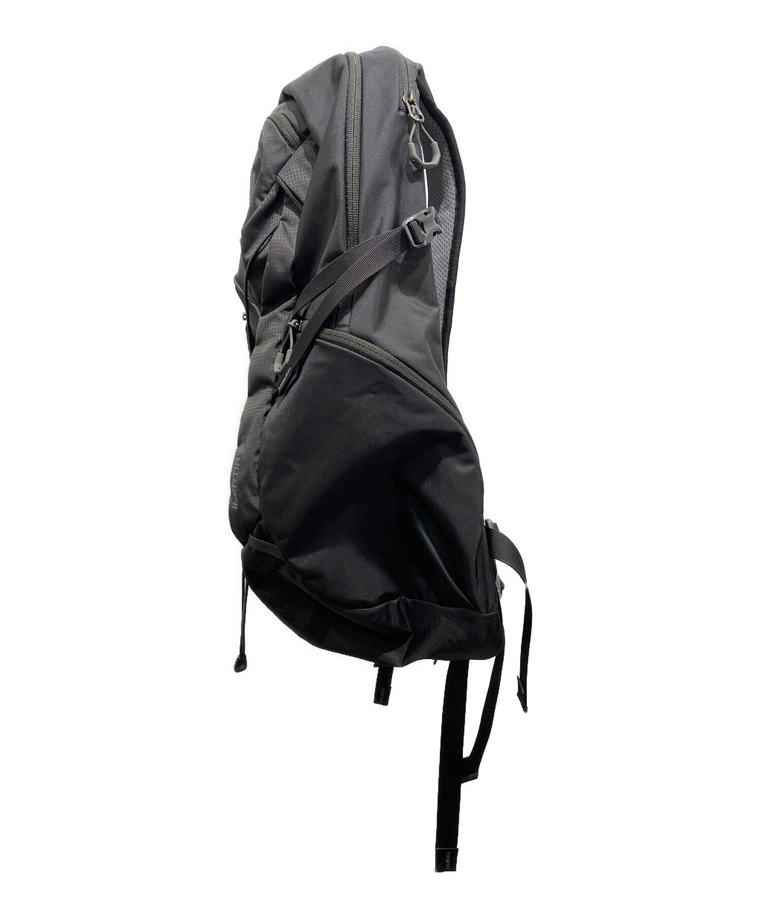 中古・古着通販】GREGORY (グレゴリー) INERTIA 24 バックパック 