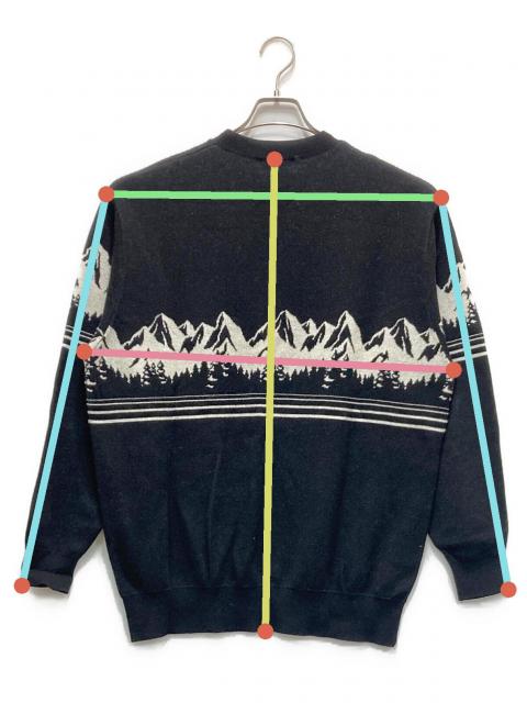 中古・古着通販】Hysteric Glamour (ヒステリックグラマー) MOUNTAIN 