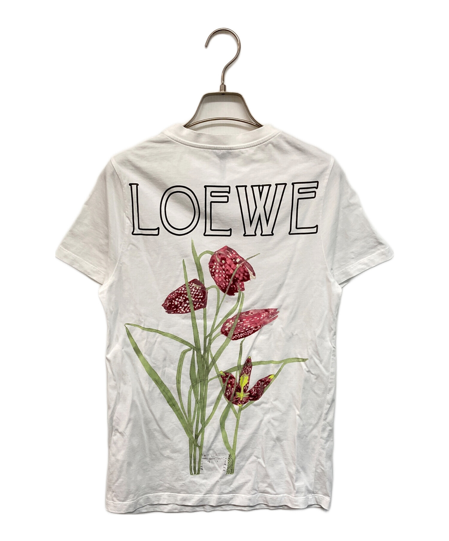中古・古着通販】LOEWE (ロエベ) ボタニカル プリントTシャツ 