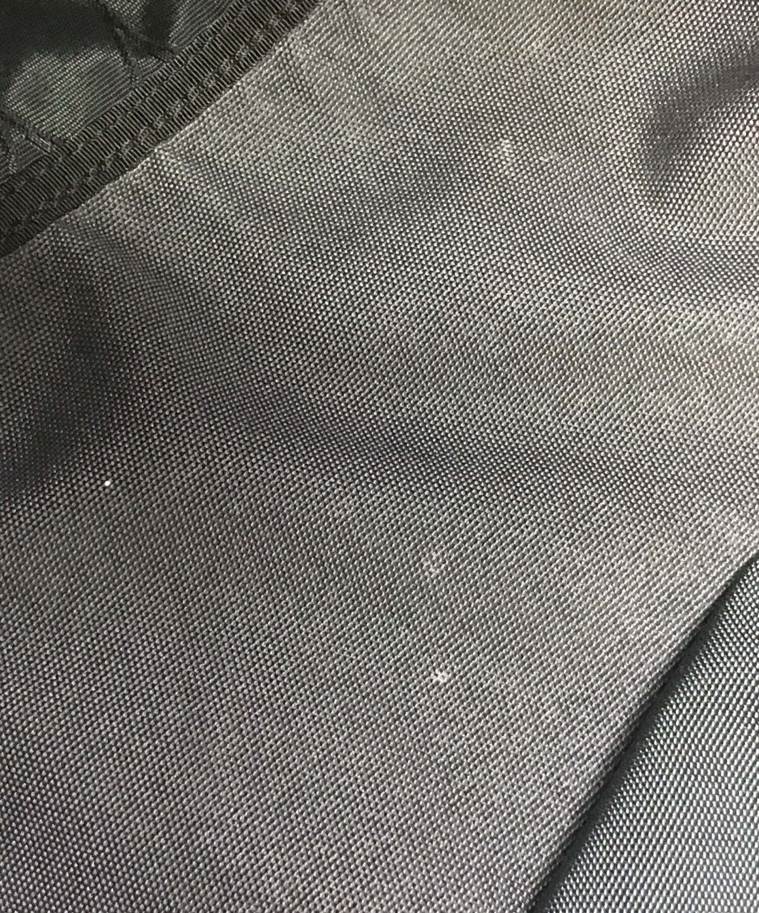 中古・古着通販】KENZO (ケンゾー) Large Tiger Canvas backpack 
