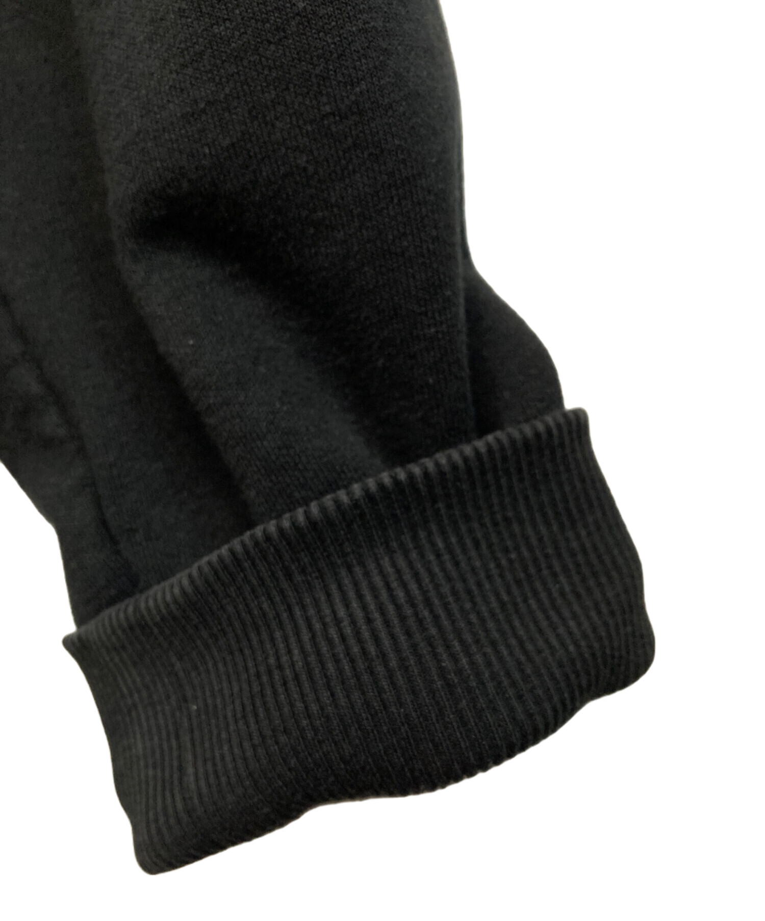 中古・古着通販】stussy (ステューシー) ストックロゴジップパーカー 
