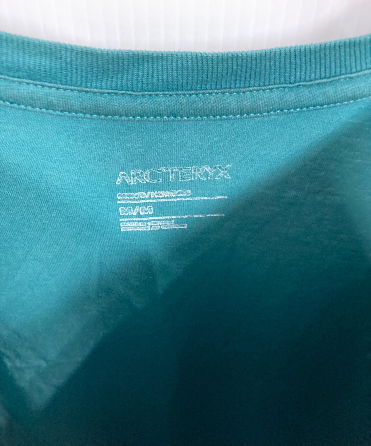 中古・古着通販】ARC'TERYX (アークテリクス) ロゴプリントTシャツ
