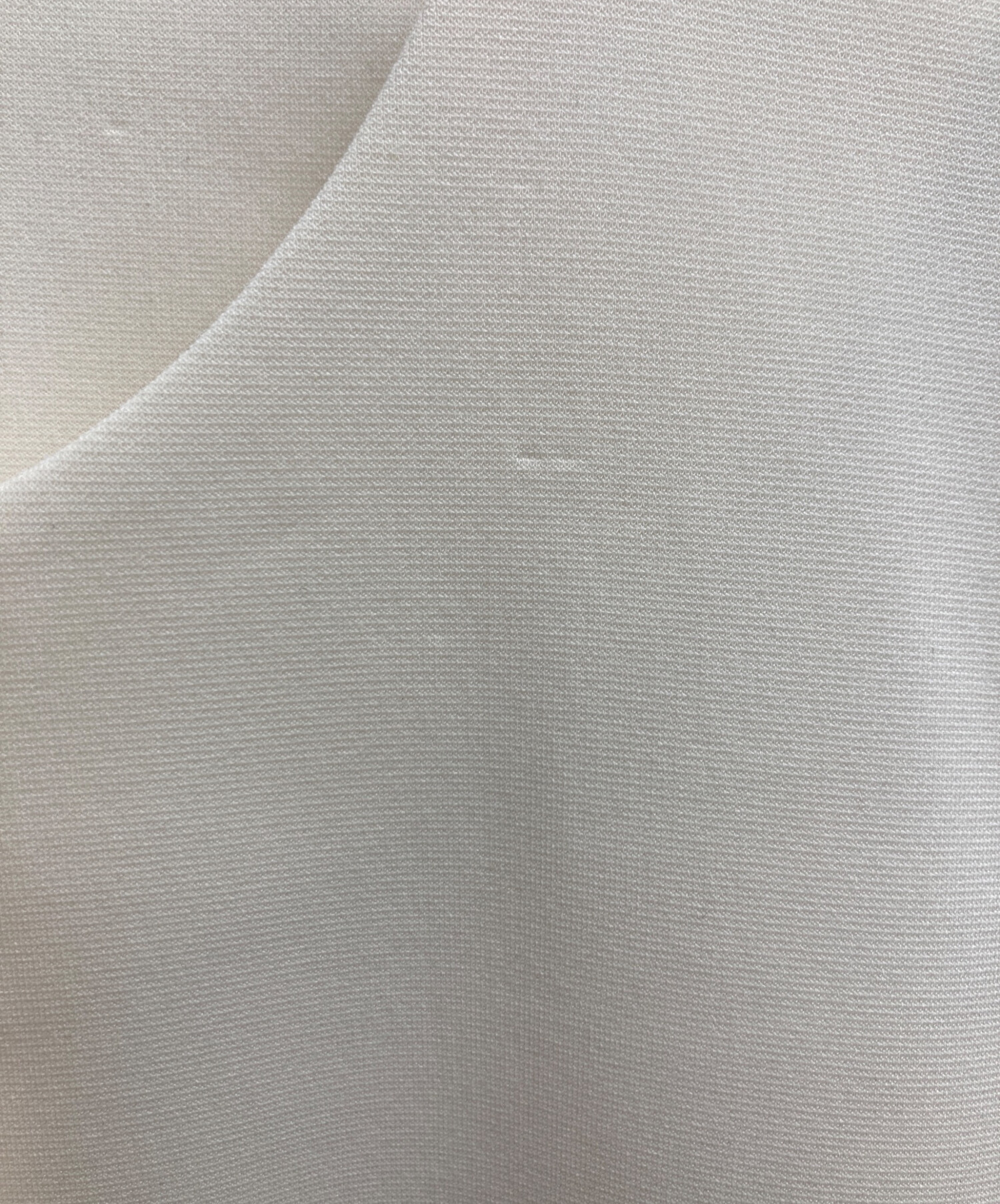 中古・古着通販】LE PHIL (ル フィル) 23AW スキューバジャージージレ