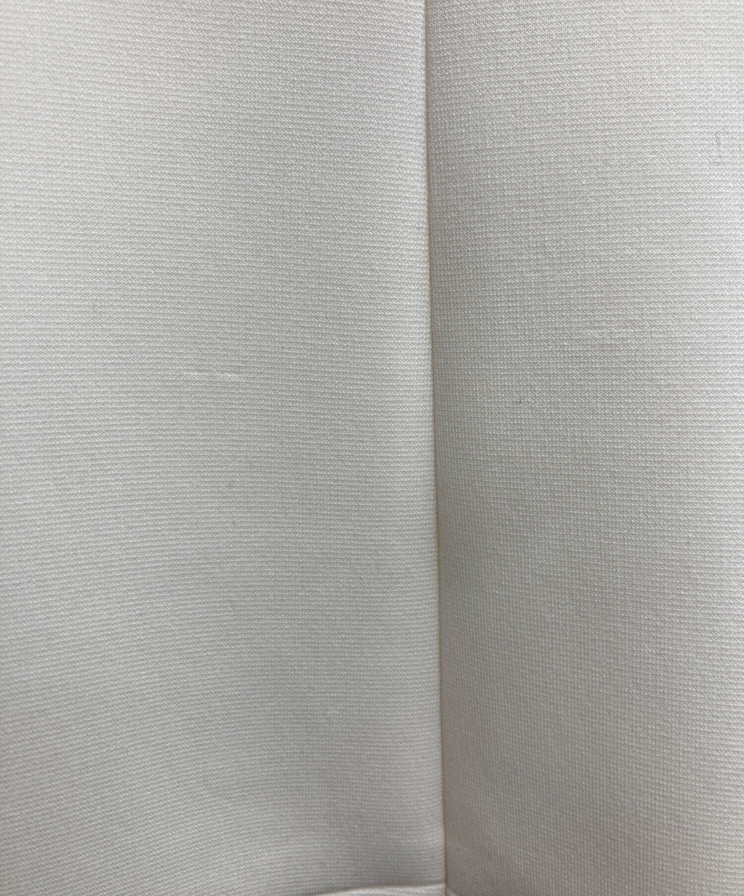 中古・古着通販】LE PHIL (ル フィル) 23AW スキューバジャージージレ
