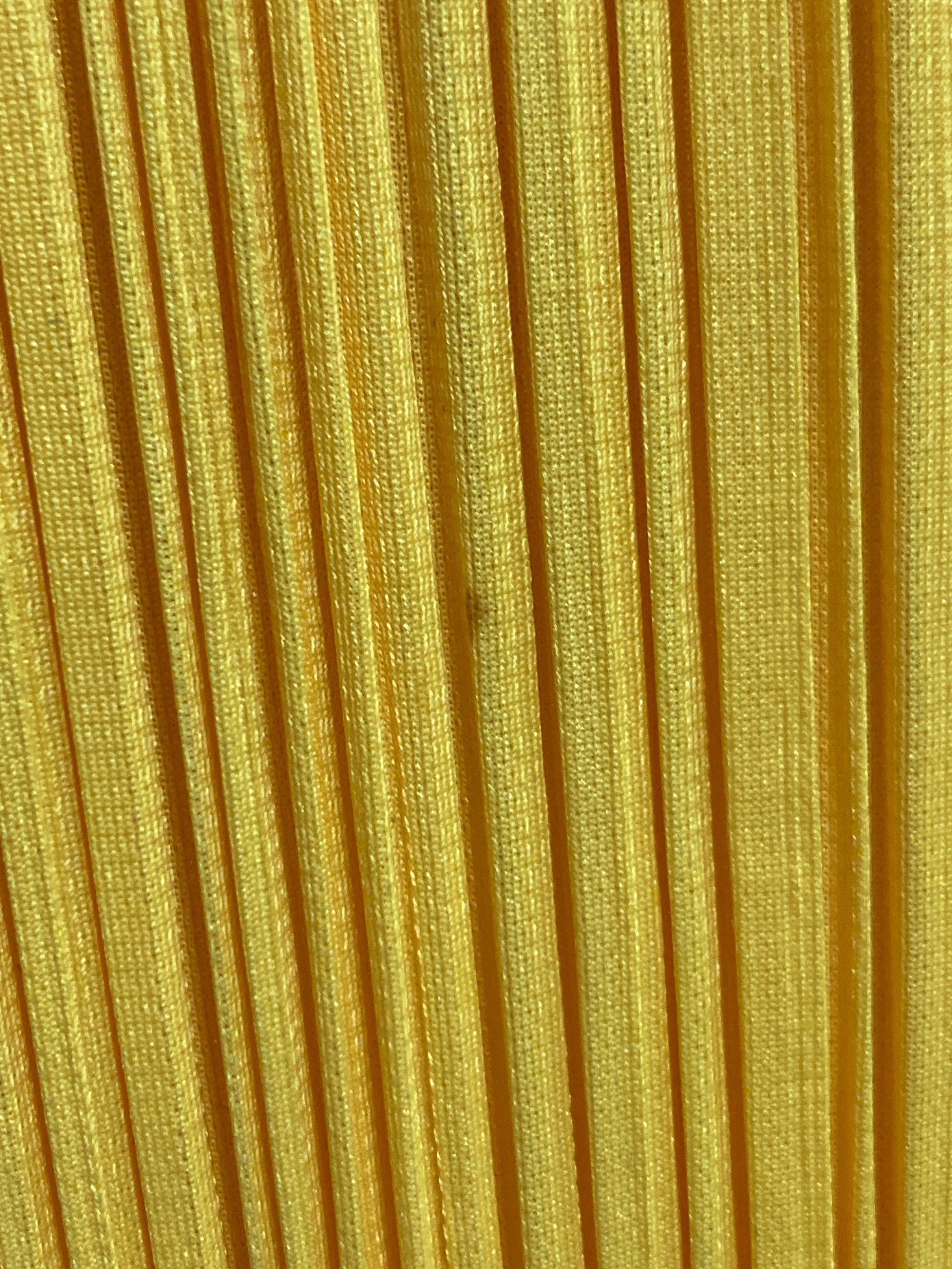 中古・古着通販】PLEATS PLEASE (プリーツプリーズ) カーネーション