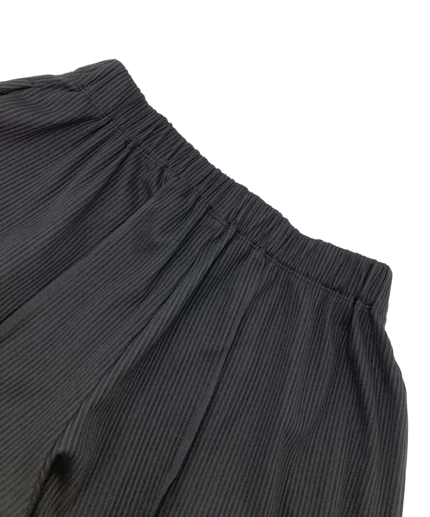 中古・古着通販】PLEATS PLEASE (プリーツプリーズ) エイポックパンツ