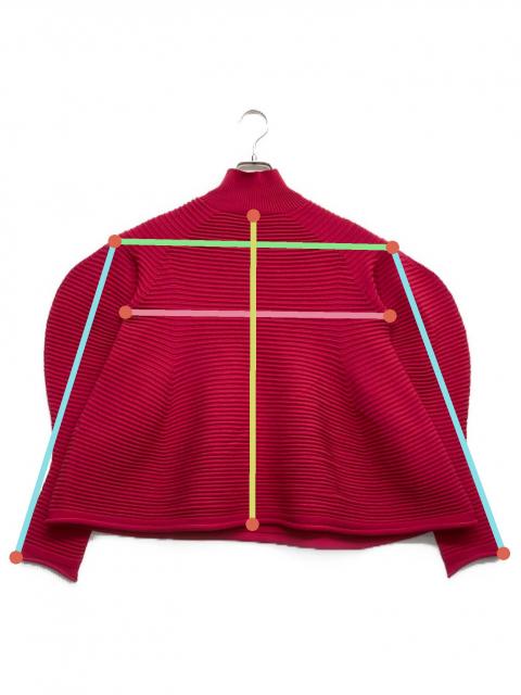 中古・古着通販】PLEATS PLEASE (プリーツプリーズ) POWAN KNIT 変形