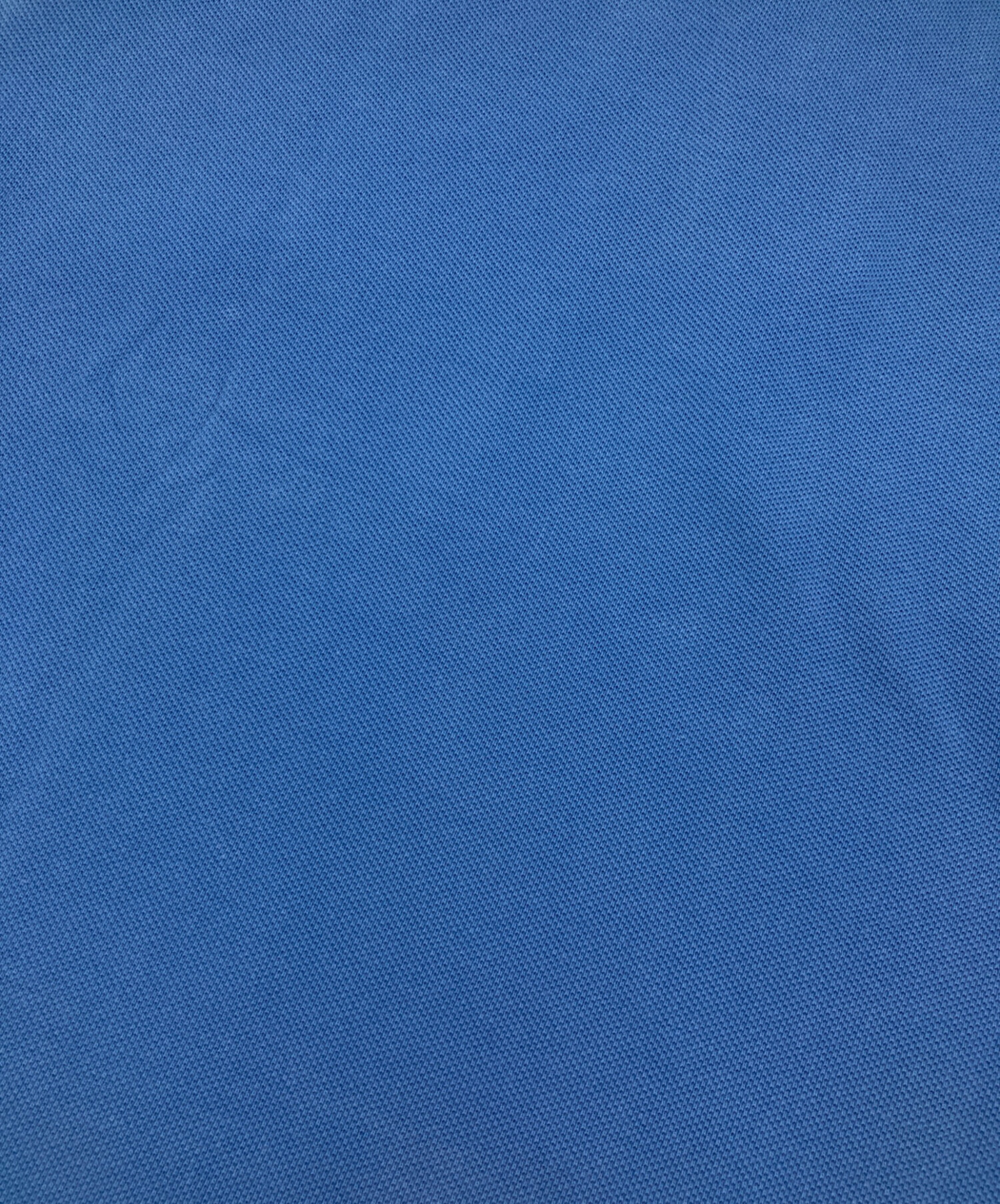 中古・古着通販】POLO RALPH LAUREN (ポロ・ラルフローレン) ポニー